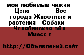 мои любимые чижки › Цена ­ 15 000 - Все города Животные и растения » Собаки   . Челябинская обл.,Миасс г.